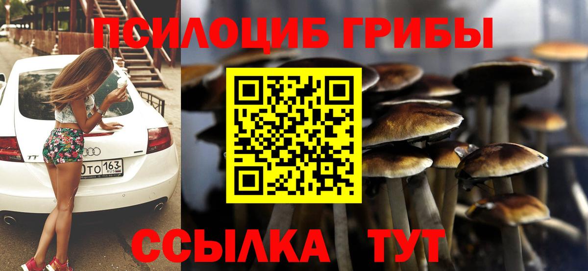 Псилоцибиновые грибы мухоморы  Галлюциногенные грибы Psilocybine cubensis  Прокопьевск  Вход с VPN 